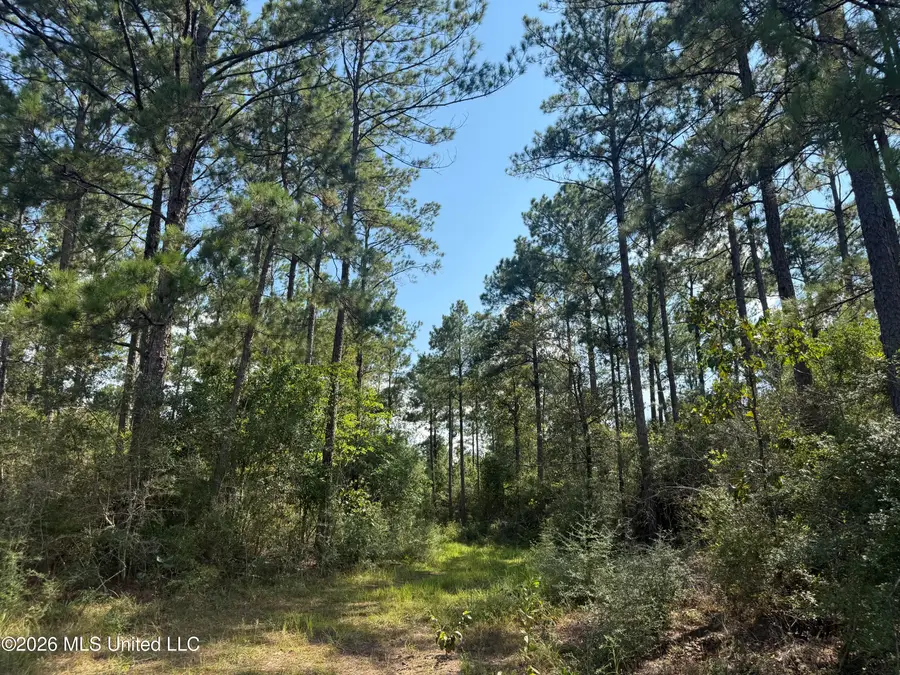 Merritt Road, Leakesville, MS 39451 - #3