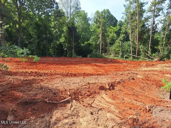 1063 Dry Creek Road, Mendenhall, MS 39114