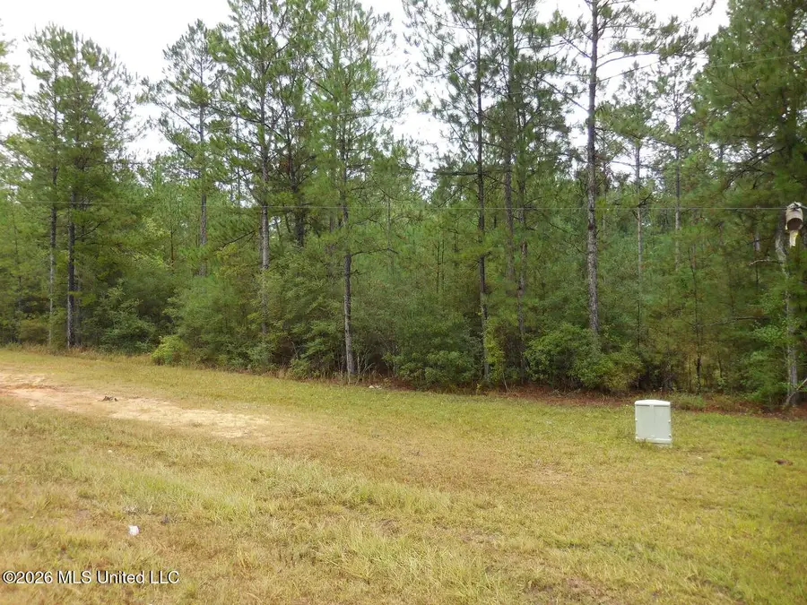 S Hwy 13 Lumberton,ms 39455, Lumberton, MS 39455 - #2
