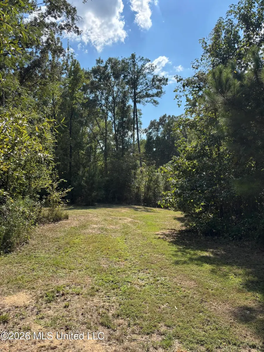 Tinsley Rd, Bentonia, MS 39040 - #3