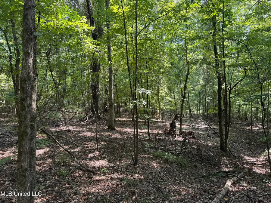 0001 Old Dover Road, Yazoo City, MS 39194 - #2