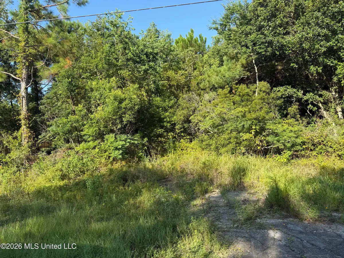 5187 Forest Avenue, Bay Saint Louis, MS 39520 - #1