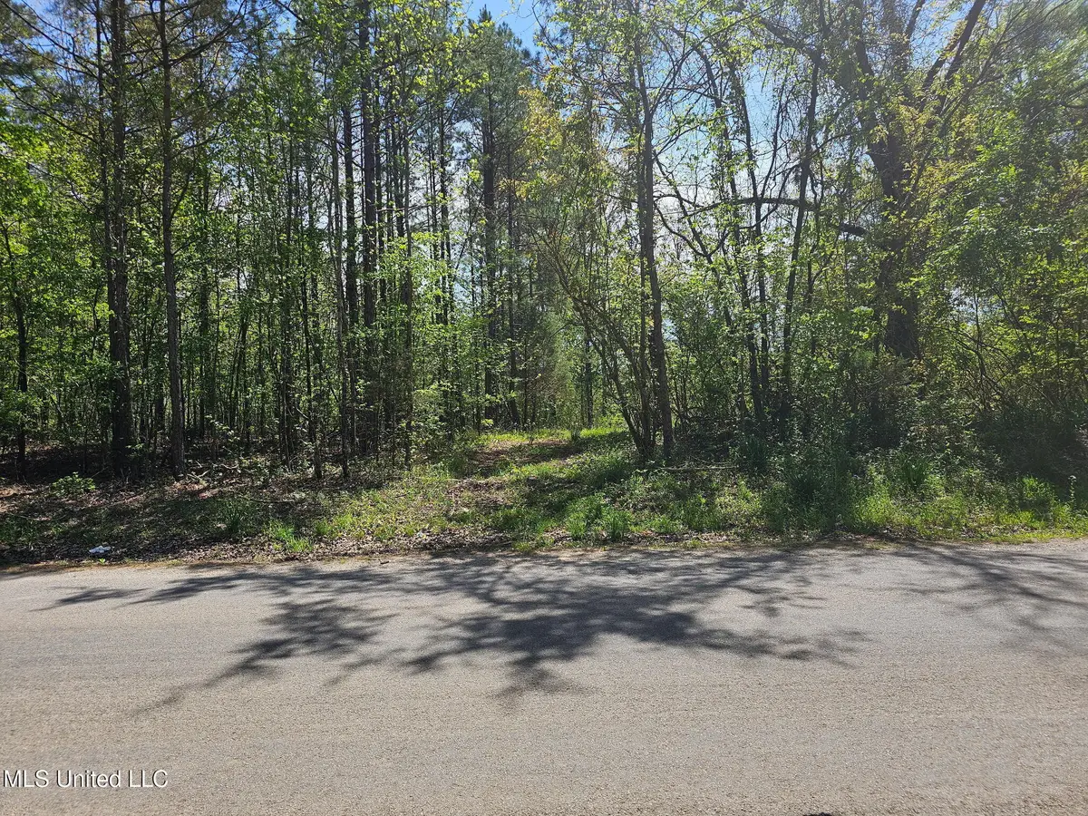 600 Co Rd 431, Ripley, MS 38663 - #1
