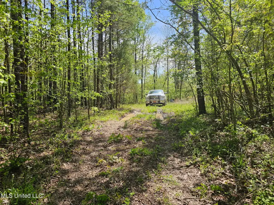 600 Co Rd 431, Ripley, MS 38663 - #2
