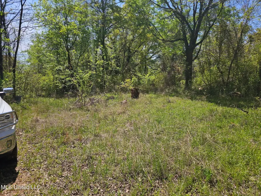 600 Co Rd 431, Ripley, MS 38663 - #3