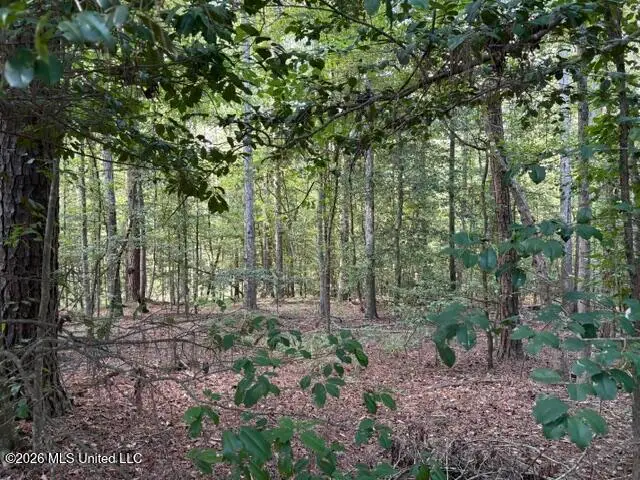 Smith County Road 581, Raleigh, MS 39153 - #2