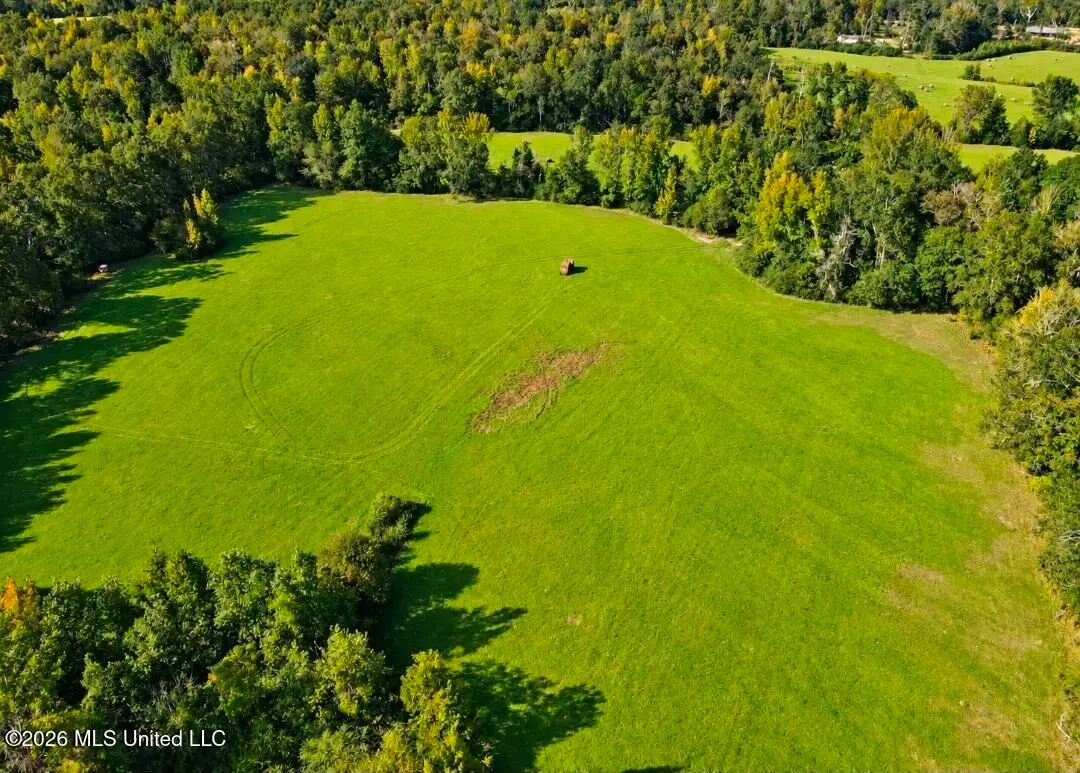 Busby Trail, Brookhaven, MS 39601 - #1
