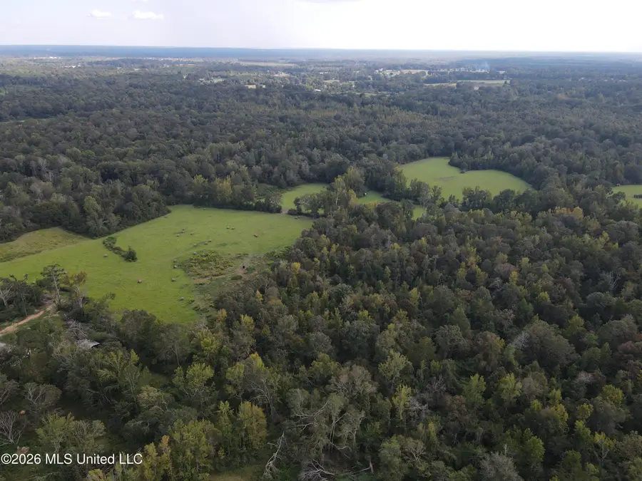 Busby Trail, Brookhaven, MS 39601 - #2