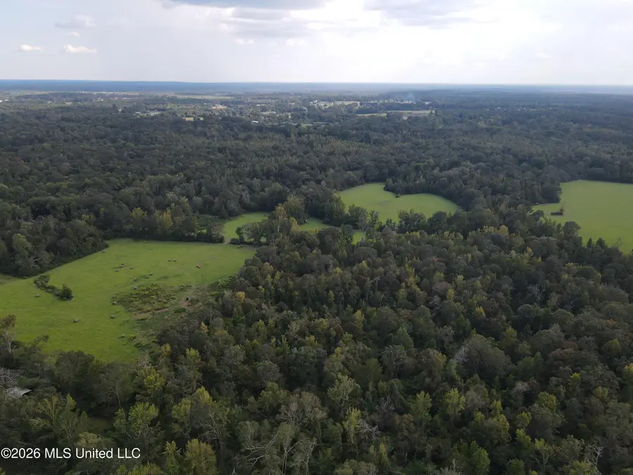 Busby Trail, Brookhaven, MS 39601 - #3