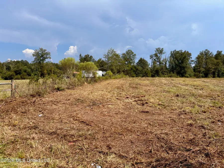 3170 Bahalia Road, Wesson, MS 39191 - #2