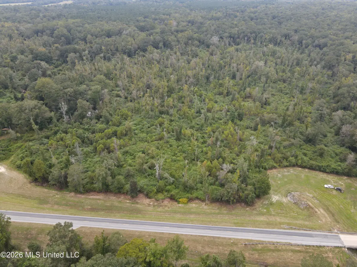 Bogue Chitto Road, Bogue Chitto, MS 39629 - #1