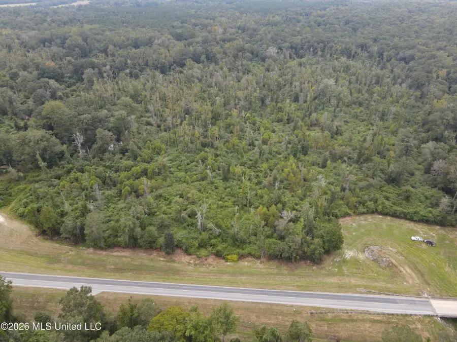 Bogue Chitto Road, Bogue Chitto, MS 39629 - #2