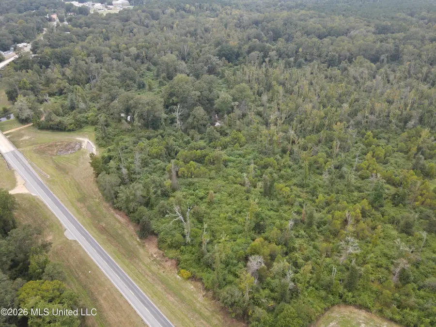 Bogue Chitto Road, Bogue Chitto, MS 39629 - #3