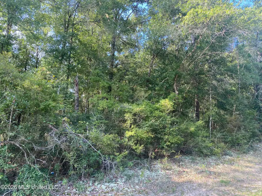 Grady Diamond Road, Perkinston, MS 39573 - #2