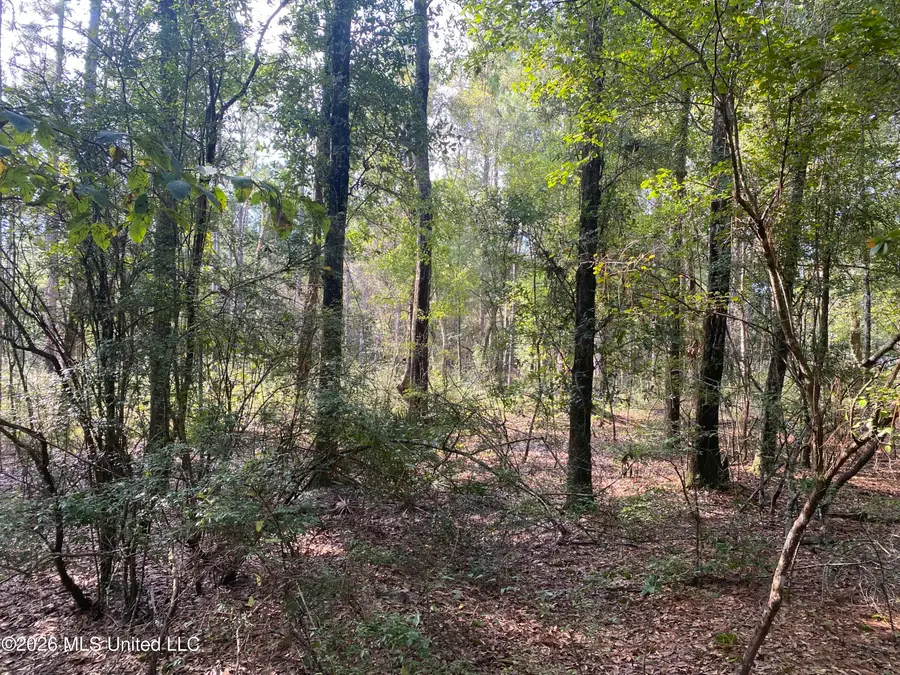 Grady Diamond Road, Perkinston, MS 39573 - #3