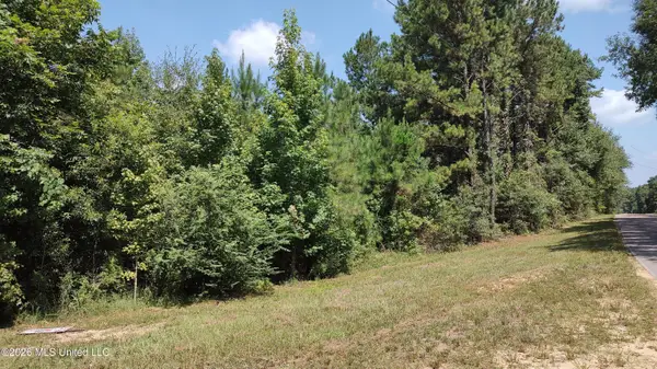 Worth Nall Road, Lumberton, MS 39455