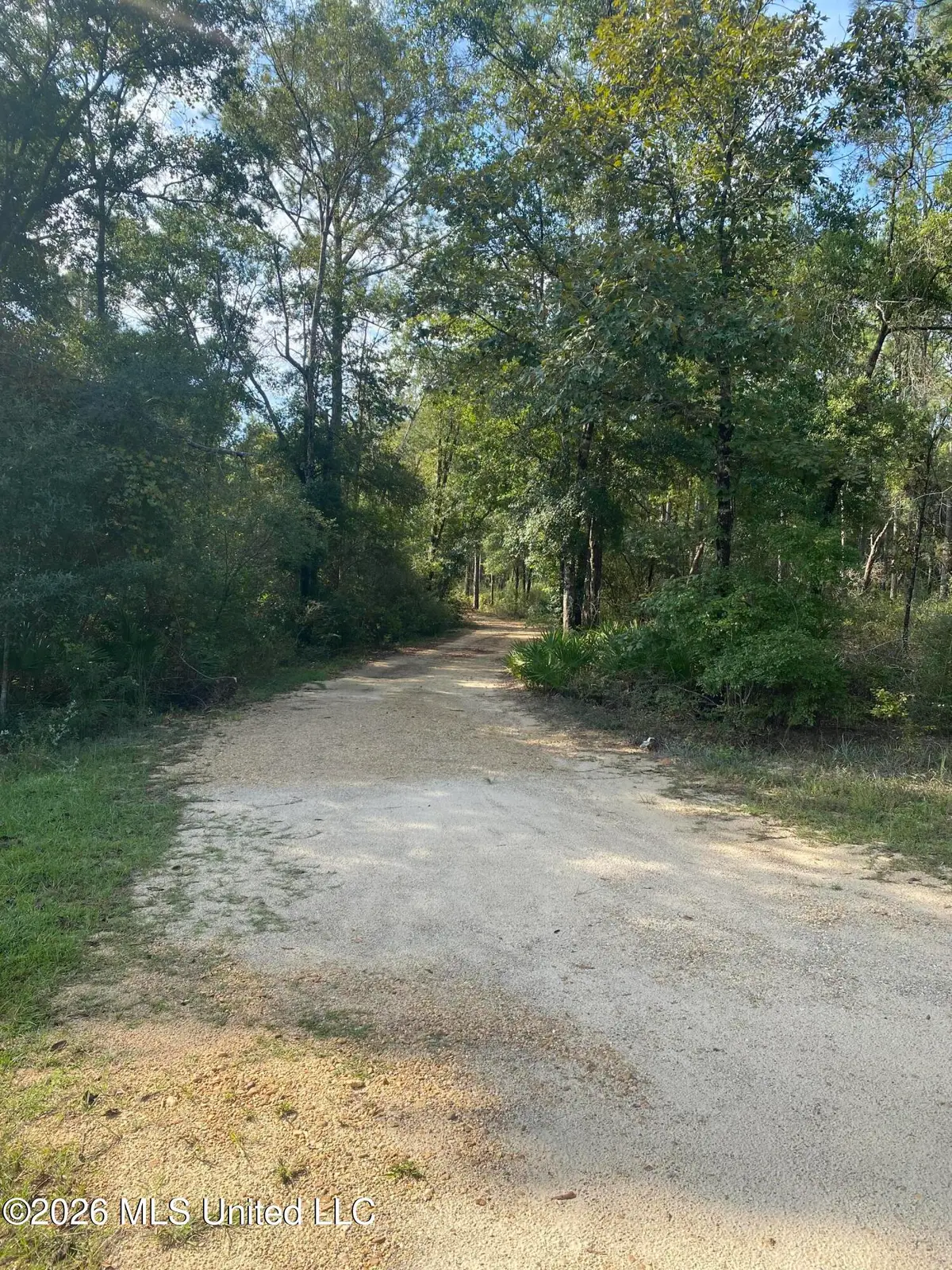 58 Grady Diamond Road, Perkinston, MS 39573 - #1