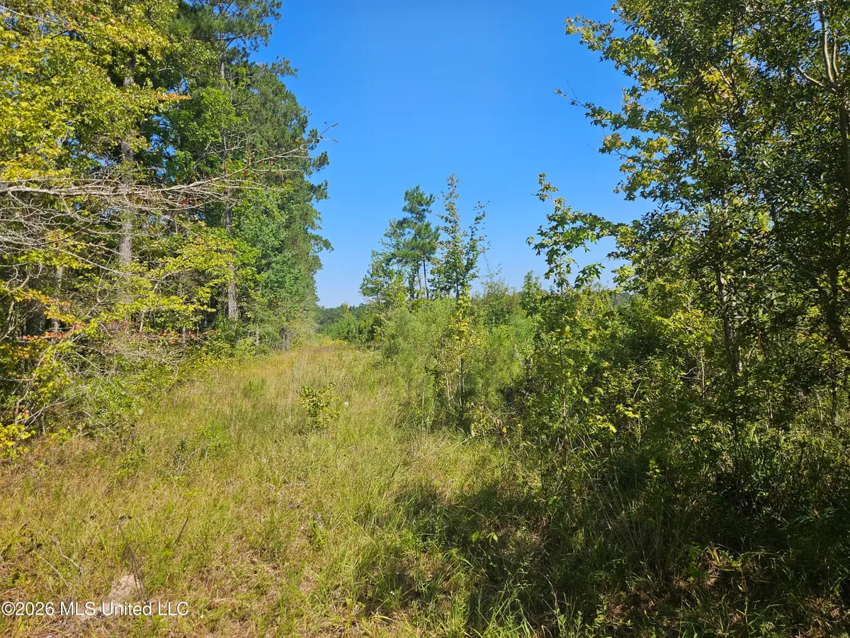 River Bend Road, Columbia, MS 39429 - #1