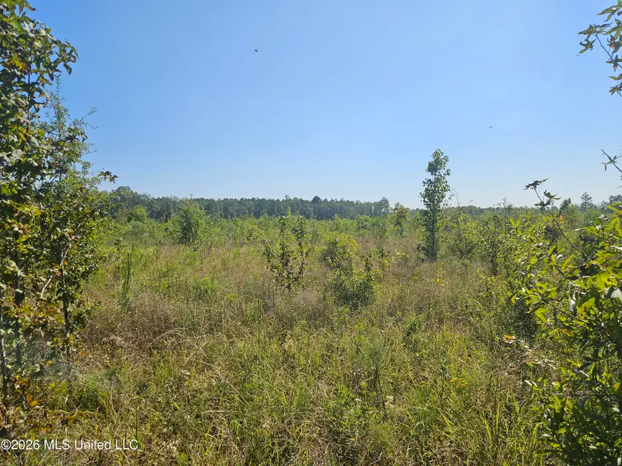River Bend Road, Columbia, MS 39429 - #3