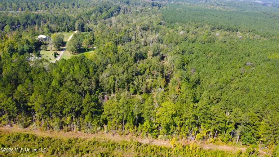 River Bend Road, Columbia, MS 39429 - #2