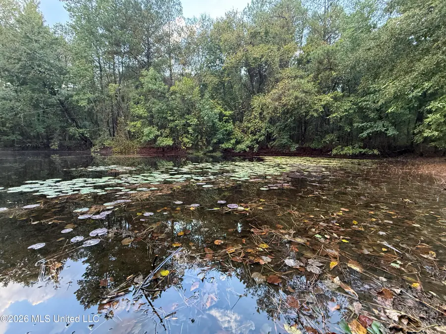 County Road 4167, Sallis, MS 39160 - #3