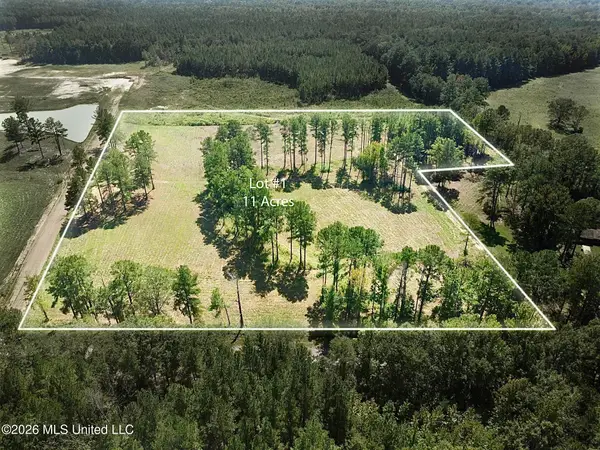 Lot 1 Sulphur Springs Road, Canton, MS 39046