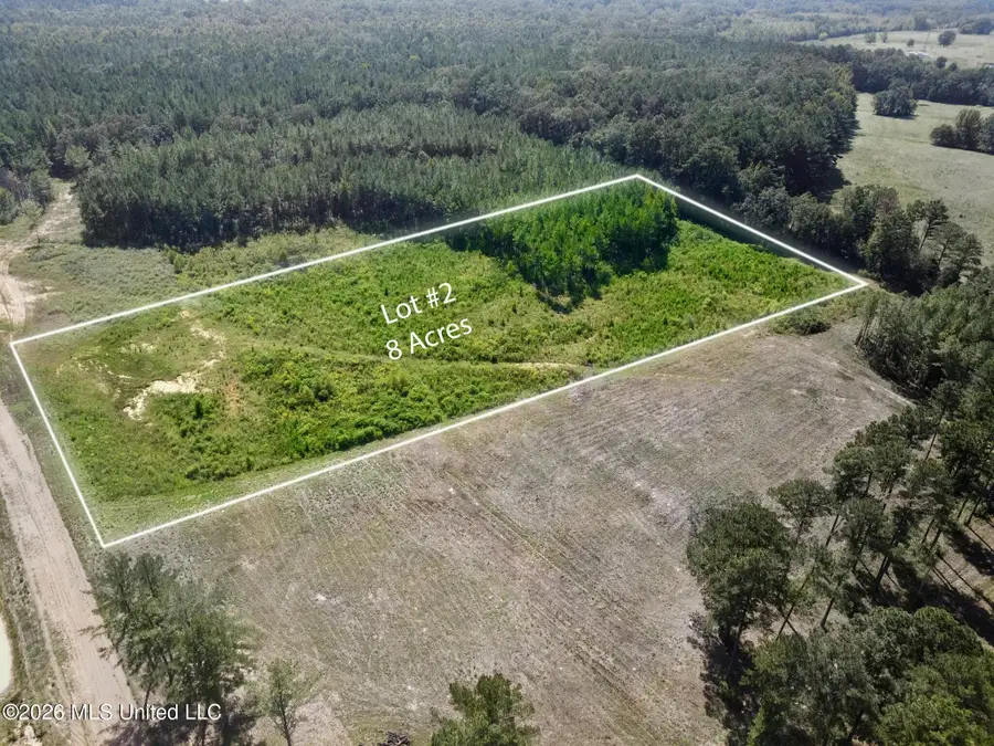 Lot 2 Sulphur Springs Road, Canton, MS 39046 - #3