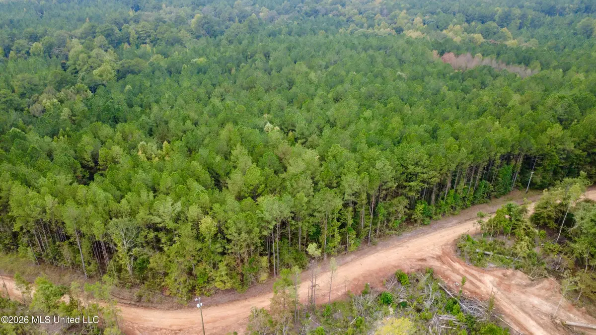 E Bethel Road, Louisville, MS 39339 - #1