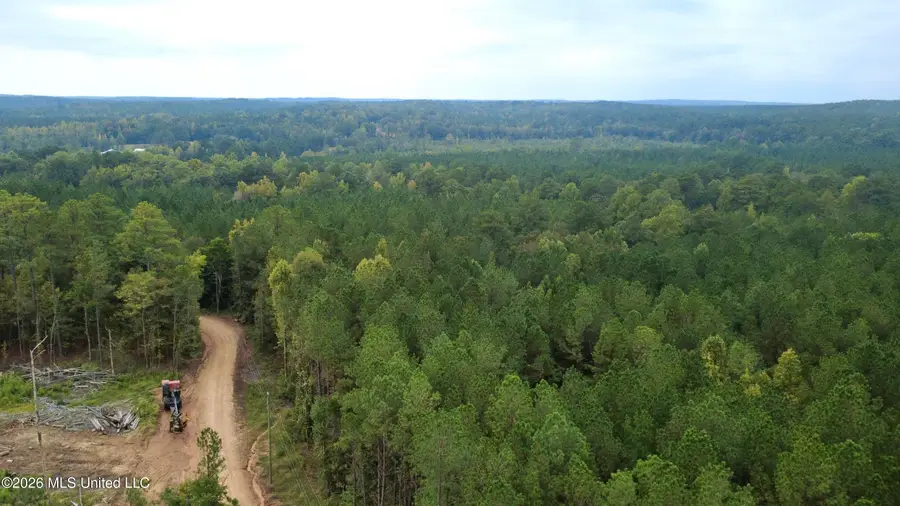 E Bethel Road, Louisville, MS 39339 - #2