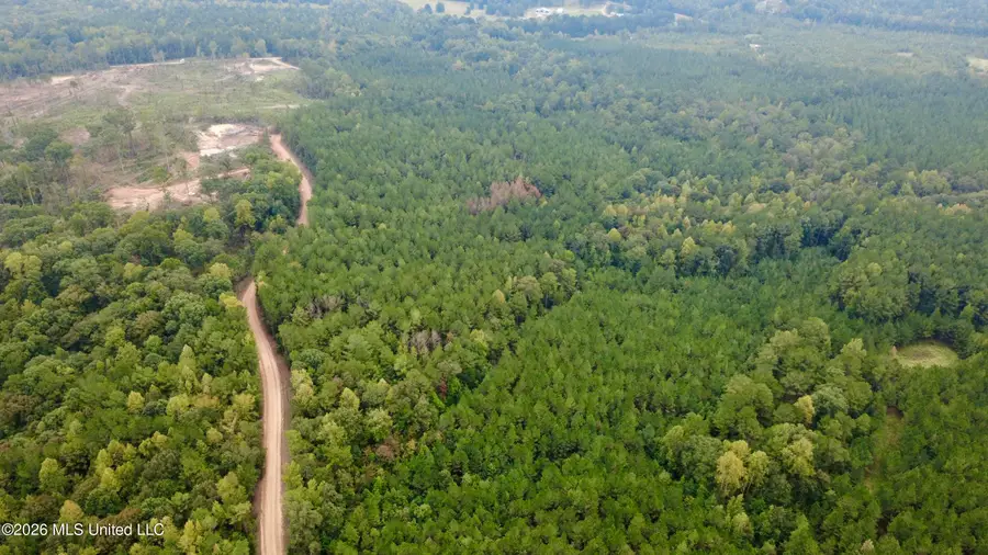 E Bethel Road, Louisville, MS 39339 - #3