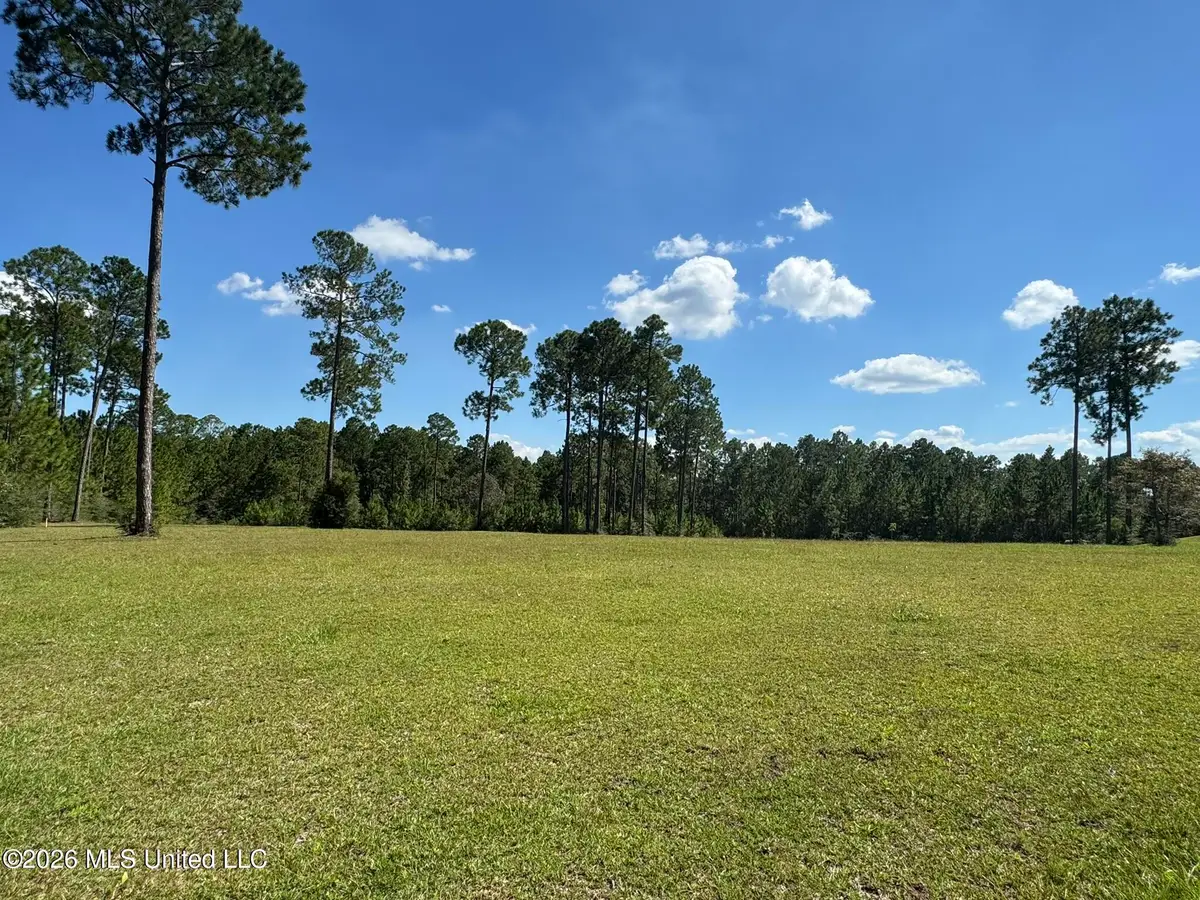 Towering Pines, Carriere, MS 39426 - #1