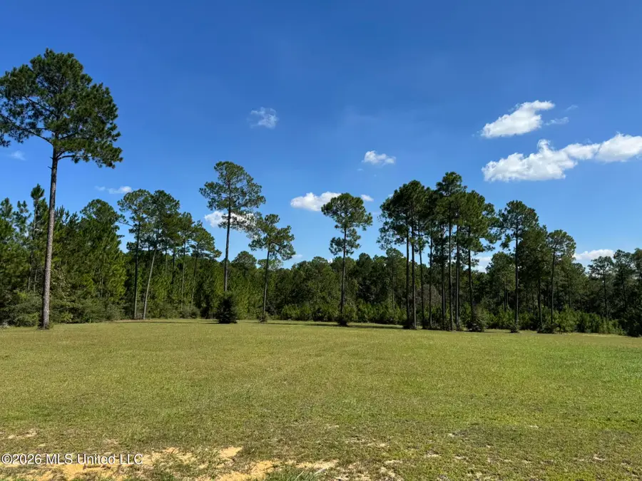 Towering Pines, Carriere, MS 39426 - #2