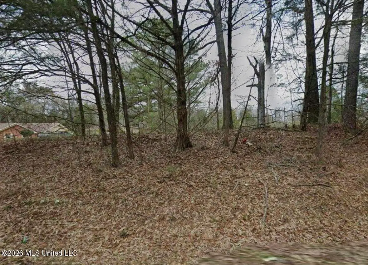 402 Robinson Road, Canton, MS 39046 - #1