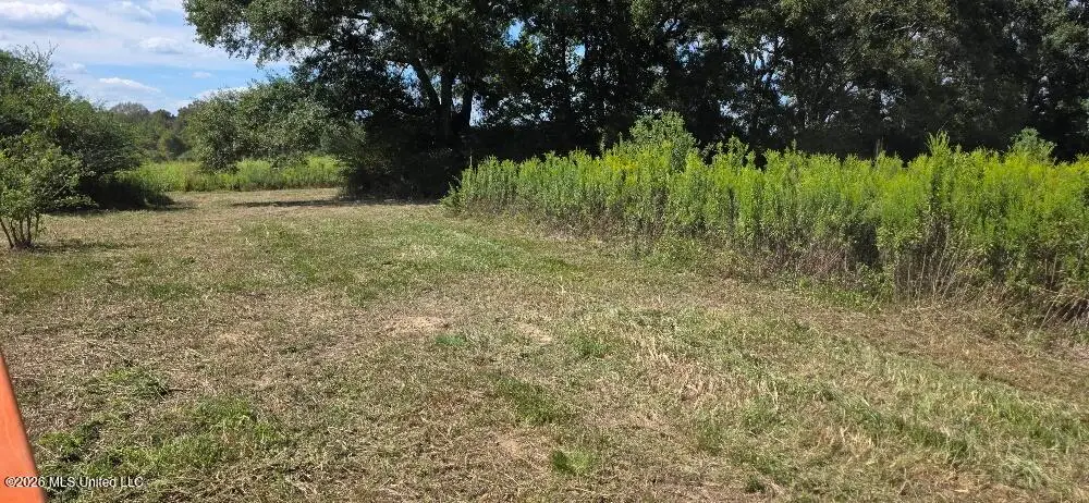 1161 Charlie Rhodus Road, Osyka, MS 39657 - #1