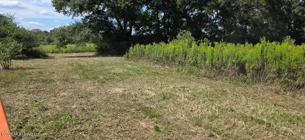 1161 Charlie Rhodus Road, Osyka, MS 39657