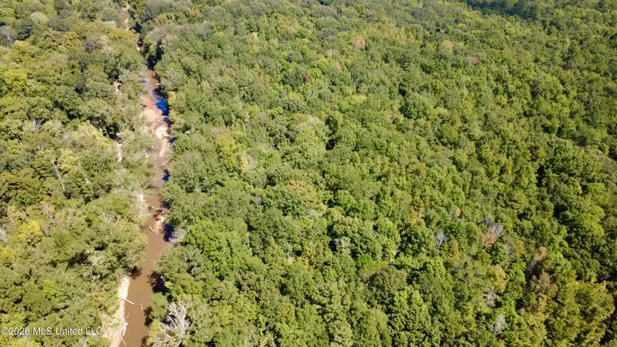 Highway 407, Kilmichael, MS 39747 - #2
