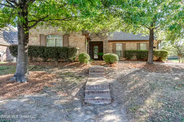 515 Turtle Lane Drive, Brandon, MS 39047