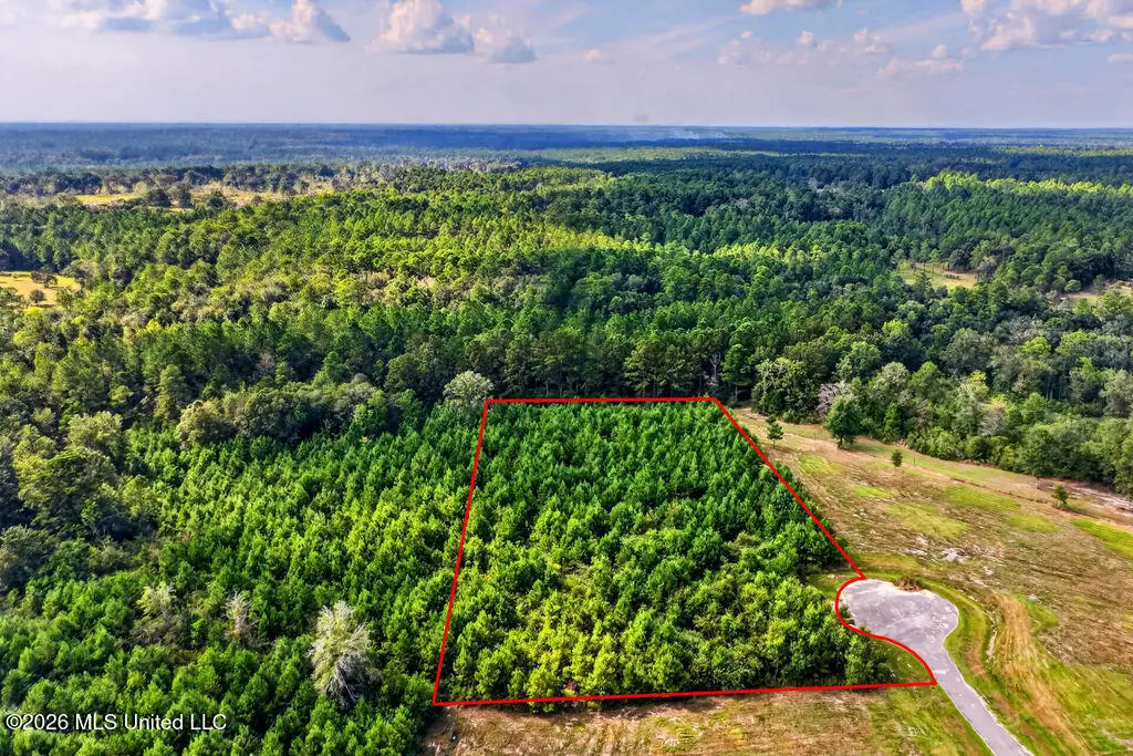Lot 50 Plantation Circle Drive, Perkinston, MS 39573 - #1