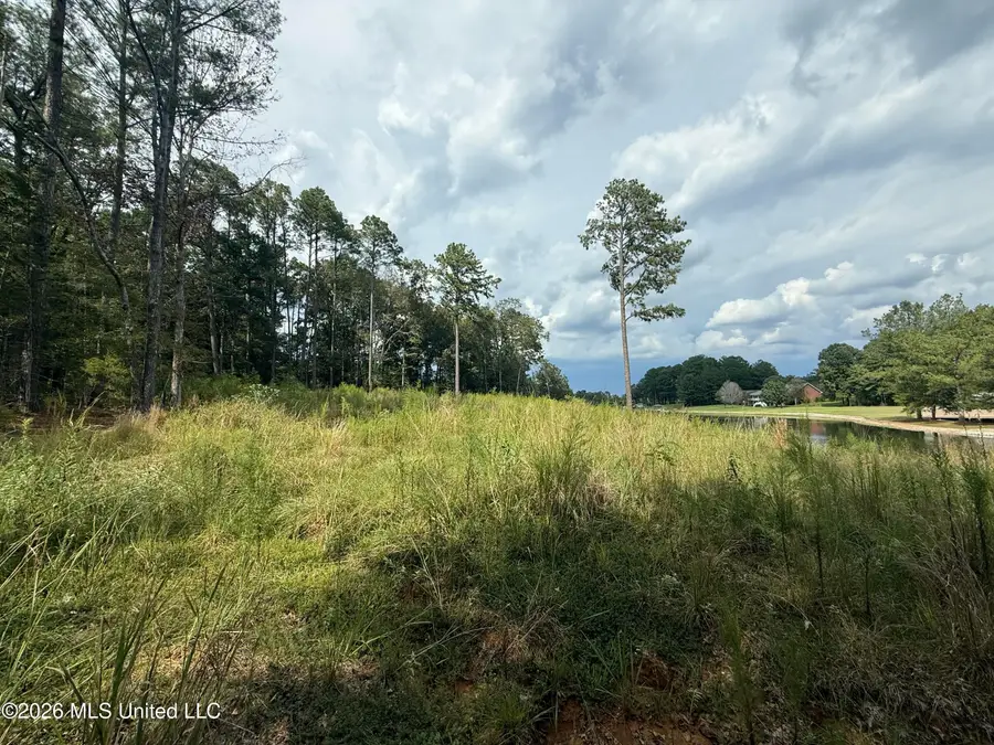 102 Cedar Ridge Drive, Canton, MS 39046 - #3