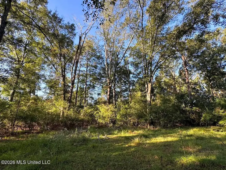 5th Street, Osyka, MS 39657 - #2
