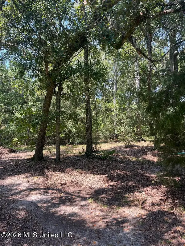17241 Old Joe Moran Road, Kiln, MS 39556