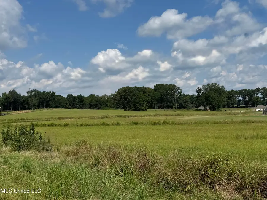 C2 Ms-16, Benton, MS 39039 - #2
