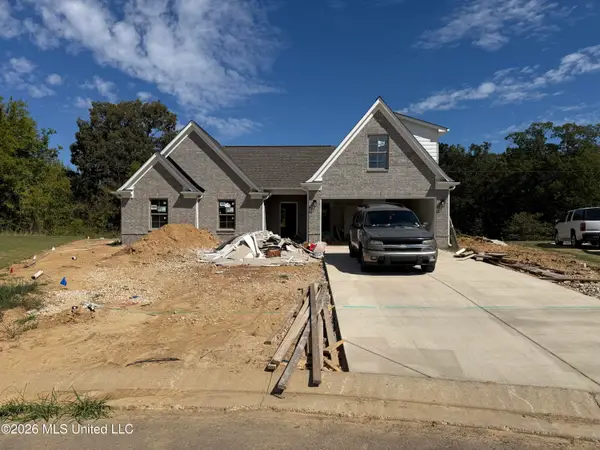 7874 Ella Pointe, Walls, MS 38680
