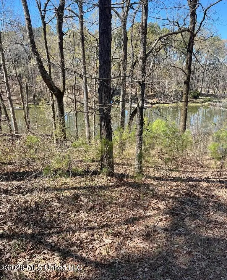 12 Boka Cove, Hernando, MS 38632 - #2