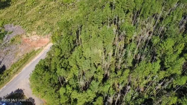 5464c Pecan Orchard Road, Liberty, MS 39645 - #2