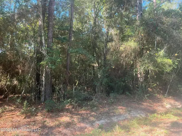 Darling Road, Pass Christian, MS 39571