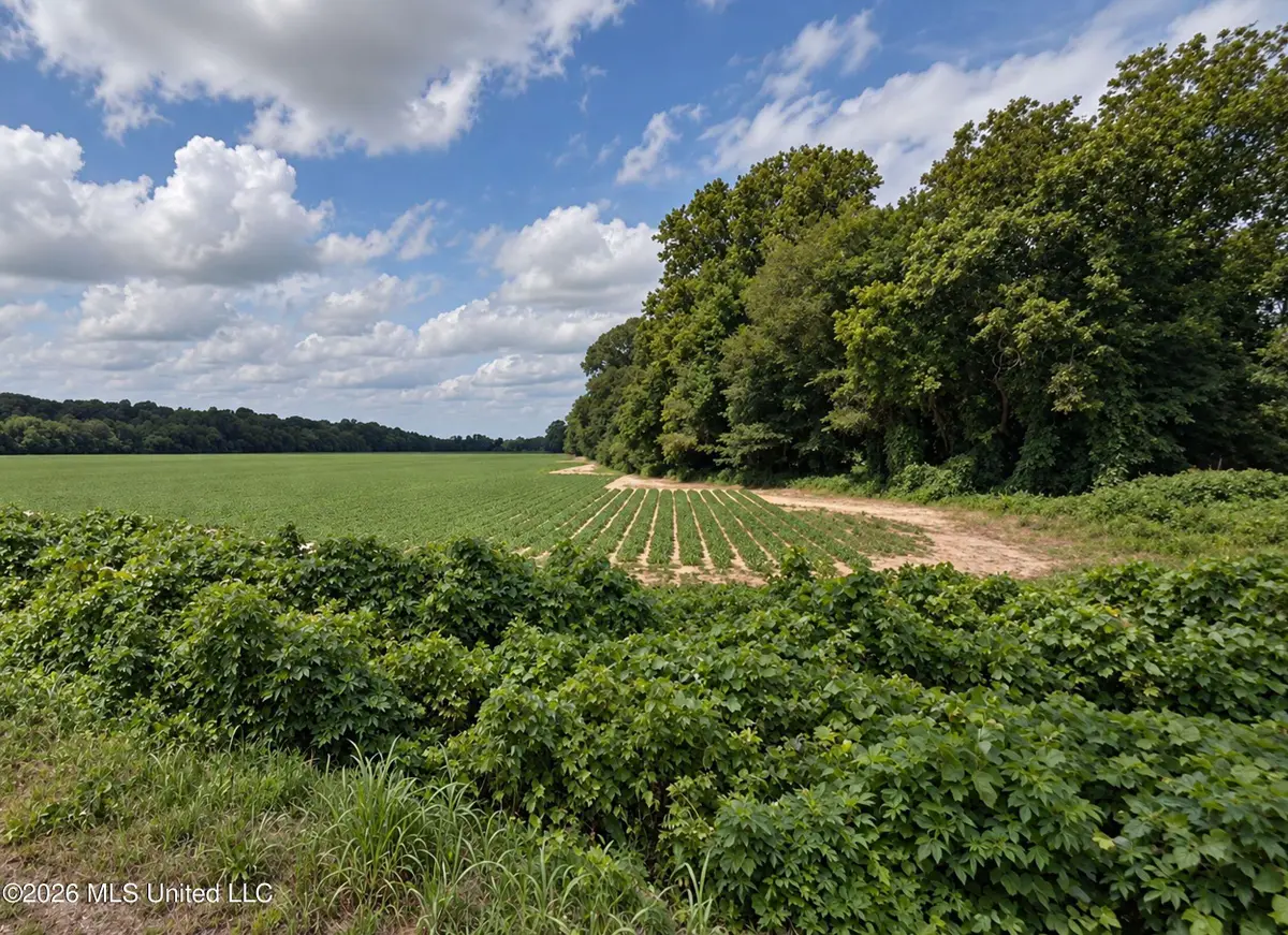 50 Ac Old Panola Road, Sardis, MS 38666 - #1