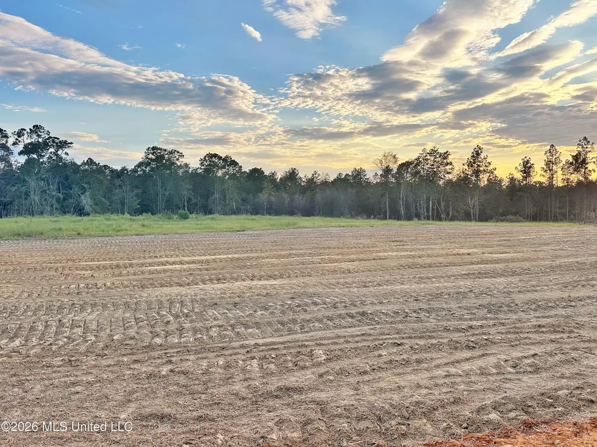 Lot 12 Little Cedar Road, Lucedale, MS 39452 - #1