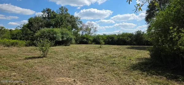 1107 Charlie Rhodus Road, Osyka, MS 39657