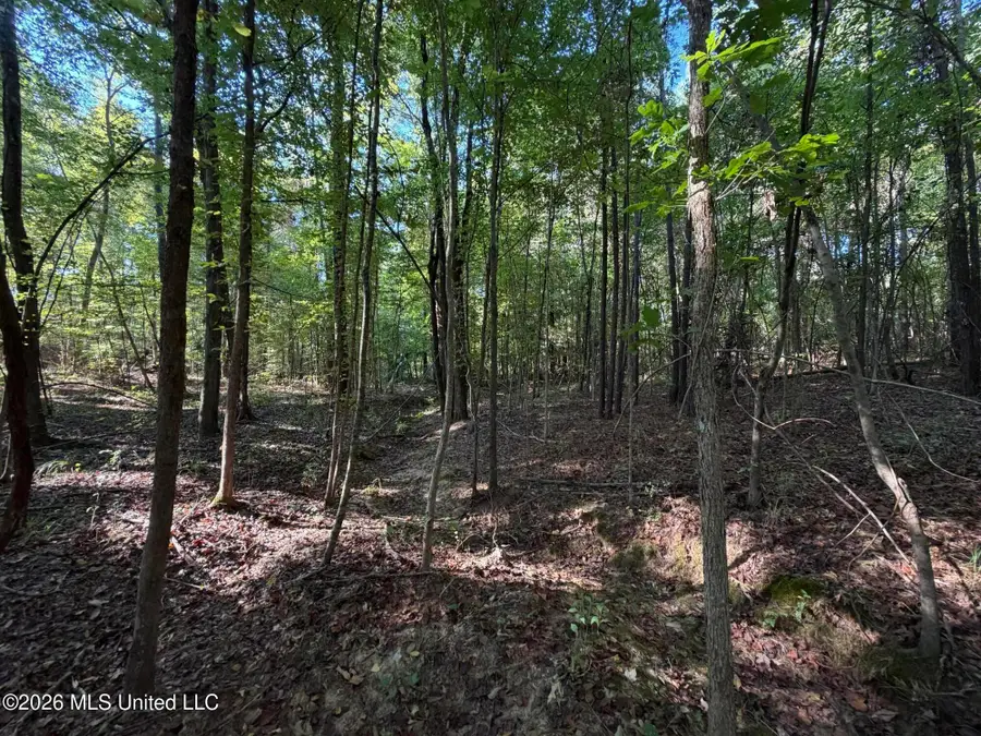 Cauthen Road, Camden, MS 39045 - #3